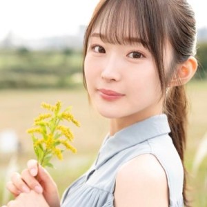 센가와 토와