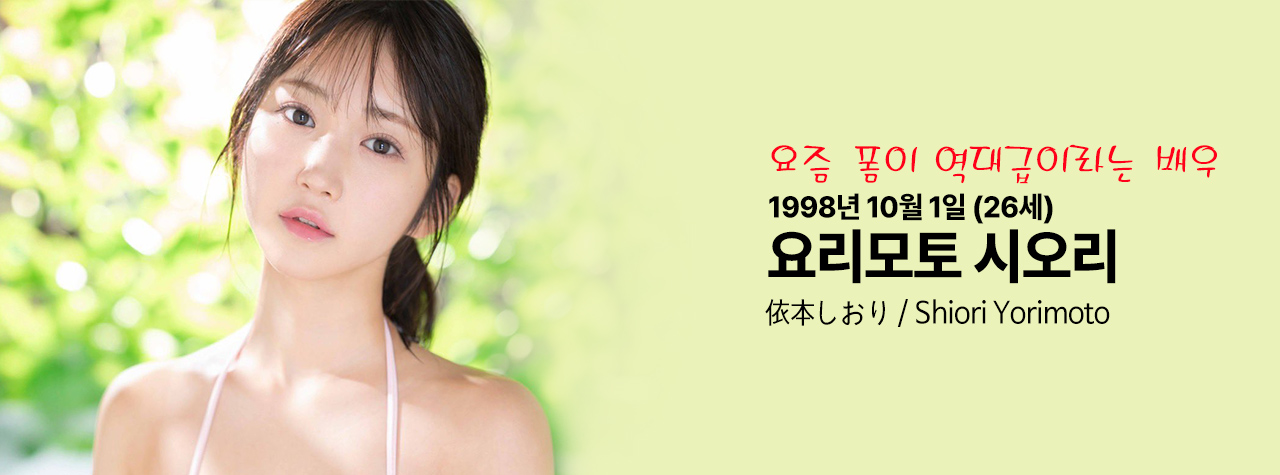 요리모토시요리avloom.jpg